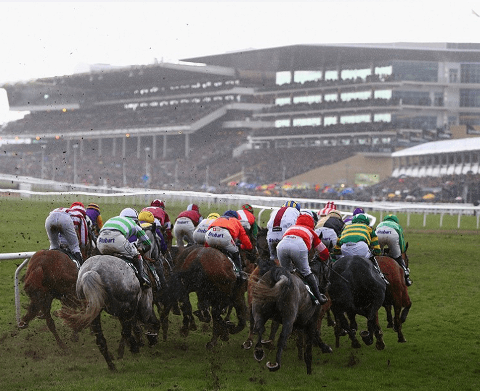 spotlight-sports,-paddy-power-team-up-for-2022-cheltenham-festival-show